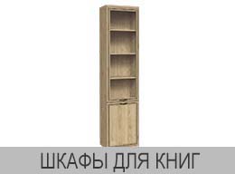 1 0shkaf knig 260